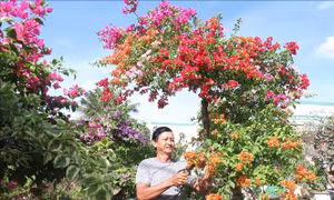 Rộn ràng 'vương quốc hoa kiểng' phục vụ Tết