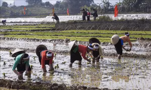 Đặc sắc Lễ hội Khai hạ dân tộc Mường ở Hòa Bình