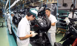 Thiếu nguồn cung chip, doanh số bán xe máy và ô tô Honda tại Việt Nam đều giảm 