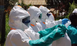 Dịch Ebola: Tây Phi tăng cường các biện pháp chuẩn bị và phòng ngừa