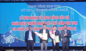 Bảo hộ thành công nhãn hiệu Dệt thổ cẩm Kon Tum và Gạo thơm Đăk Hà 