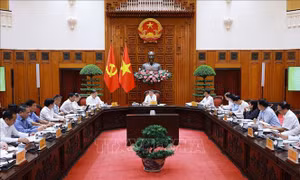 Thủ tướng chủ trì phiên họp về tổ chức thi hành án, thu hồi tài sản bị chiếm đoạt, thất thoát trong các vụ án