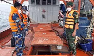 Phát hiện, xử lý nhiều vụ vi phạm pháp luật