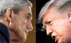 56% người dân Mỹ tham gia thăm dò phản đối luận tội Tổng thống Trump