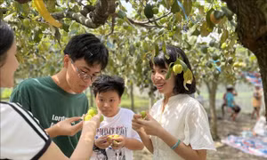 Tạo hướng đi mới cho nông nghiệp ven đô