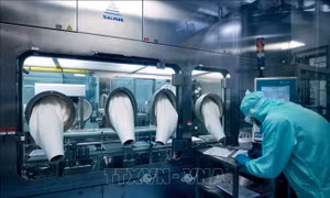 EU và 14 nước ký tuyên bố chung kêu gọi phân phối công bằng vaccine ngừa COVID-19 