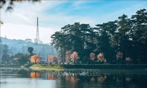 Đà Lạt cam kết giữ vững danh hiệu Thành phố Sáng tạo âm nhạc UNESCO
