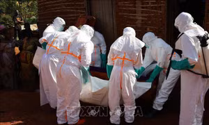 Dịch Ebola: CHDC Congo ghi nhận đợt bùng phát gây tử vong nhiều nhất