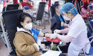 Ngày hội Xuân hồng ở Điện Biên dự kiến tiếp nhận hơn 220 đơn vị máu