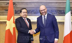 Chủ tịch Quốc hội Trần Thanh Mẫn hội đàm với Chủ tịch Hạ viện Italy