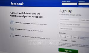 Facebook 'vô tình' thu thập thông tin email của 1,5 triệu người dùng