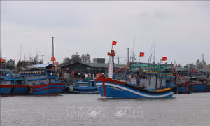 Quảng Ngãi 'tiếp sức' cho ngư dân chuyển đổi nghề