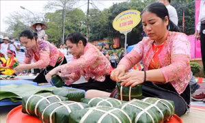 Sôi nổi hội thi bánh chưng, bánh giầy