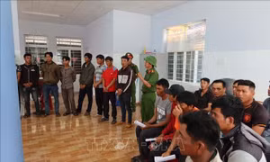 Khởi tố 37 đối tượng phá rừng tại Khu bảo tồn thiên nhiên Ea Sô, Đắk Lắk