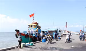 TP Hồ Chí Minh sắp có tàu cao tốc du lịch ra xã đảo Thạnh An 