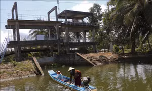 Hậu Giang đóng hàng loạt cống ngăn xâm nhập mặn vào nội đồng