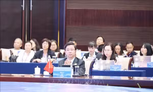 Việt Nam đạt được nhiều bước tiến quan trọng trong lĩnh vực AI