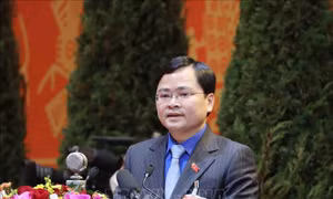 65 ngày thi đua kỷ niệm Ngày truyền thống Hội Liên hiệp Thanh niên Việt Nam