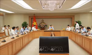 Khẩn trương hoàn thiện quy định giao khu vực biển để điều tra, khảo sát phục vụ lập dự án điện gió