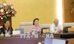 Phê chuẩn đề nghị bổ nhiệm 16 Đại sứ đặc mệnh toàn quyền Việt Nam