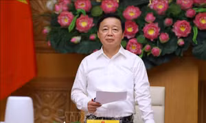 Đơn giản hóa cấp phép lao động cho người nước ngoài làm việc tại Việt Nam