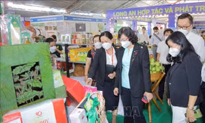 Nhiều kênh kết nối chuỗi cung ứng hàng hóa địa phương