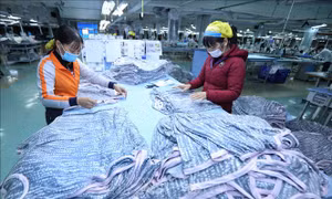 Ngày Doanh nhân Việt Nam: Bản lĩnh thép trong gian khó