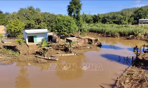 Bình Phước: Yêu cầu đảm bảo an toàn tính mạng của nhân dân khi các hồ thủy điện xả lũ