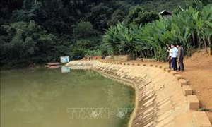 Tăng hiệu quả khai thác các công trình hồ, đập thủy lợi