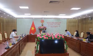 ĐBQH tại Nghệ An thảo luận về cơ chế, chính sách đặc thù phát triển một số địa phương