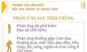 Phản ứng sau tiêm vaccine phòng COVID-19 Hayat-Vax