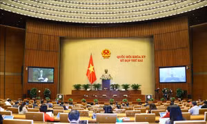 Kỳ họp thứ 2, Quốc hội khóa XV: Phản ánh đầy đủ, sát thực tình hình KT-XH đất nước