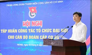 Tập huấn các nội dung chuẩn bị Đại hội Đoàn các cấp nhiệm kỳ mới