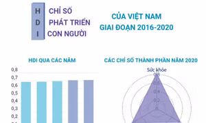 Chỉ số phát triển con người của Việt Nam giai đoạn 2016-2020