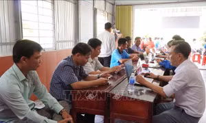 Cà Mau triển khai kế hoạch hành động '100 ngày đêm' chuyển đổi số