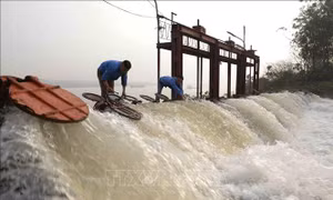 Kiến nghị EVN xả nước bổ sung, hỗ trợ Hà Nội lấy đủ nước gieo cấy