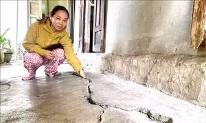 Bình Định: Người dân khu vực sạt lở sông Kôn mong sớm được bố trí tái định cư  