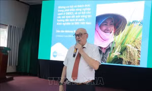 Kinh tế xanh - động lực mới để phát triển 