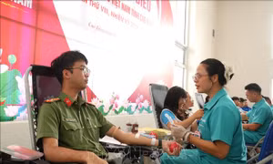 Giải quyết tình trạng khan hiếm máu điều trị