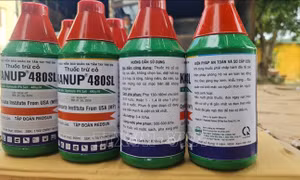Gia Lai tạm giữ 2.000 chai thuốc bảo vệ thực vật chứa chất cấm