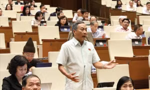 Nhân tài không chỉ dựa trên học hàm, học vị