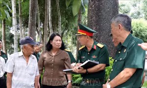 Huy động nhiều nguồn tư liệu phục vụ tìm kiếm hài cốt liệt sĩ