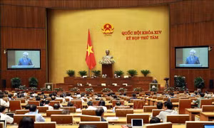 Kỳ họp thứ 8, Quốc hội khóa XIV: Thông cáo báo chí số 20