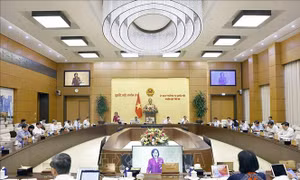 Phân định rõ hơn thẩm quyền và trách nhiệm của từng chủ thể giám sát