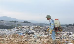 Chấm dứt nhặt rác tại bãi rác Nam Sơn, Hà Nội