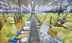 Xuất khẩu nông lâm thủy sản 2 tháng đầu năm tăng trên 17%