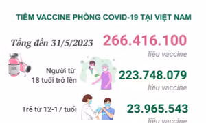 Tình hình tiêm vaccine phòng COVID-19 tại Việt Nam tính đến hết ngày 31/5/2023