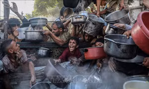 10 quốc gia cảnh báo về tình hình nhân đạo 'thảm khốc' ở Dải Gaza