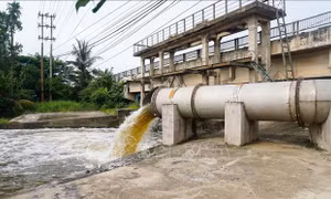 Xây dựng kịch bản ứng phó hạn mặn, bảo vệ sản xuất