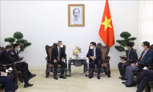 Việt Nam-Singapore hợp tác nâng cao năng lực tại tiểu vùng Mekong